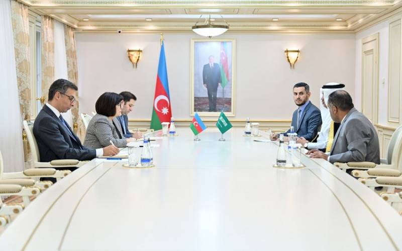 Sahibə Qafarova səfirlərlə danışıqlar apardı