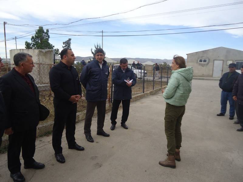 Yeni Yaşma kəndinin həll ediləcək köhnə problemləri - FOTOLAR