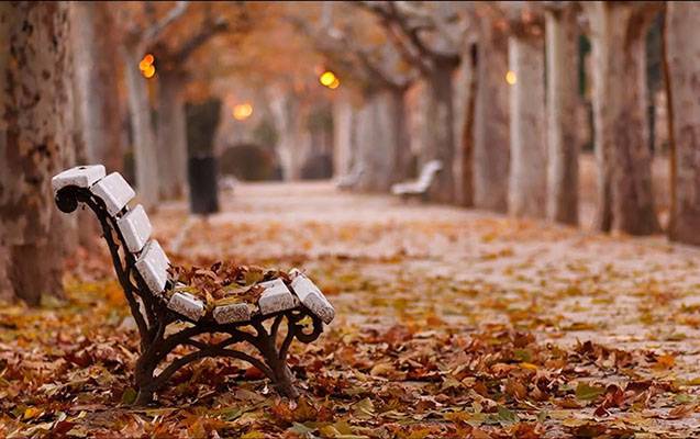 Sabahın hava PROQNOZU