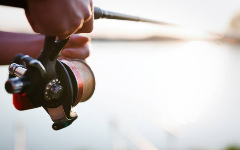 Qızılağac Milli Parkında balıq ovlayan şəxs saxlanıldı