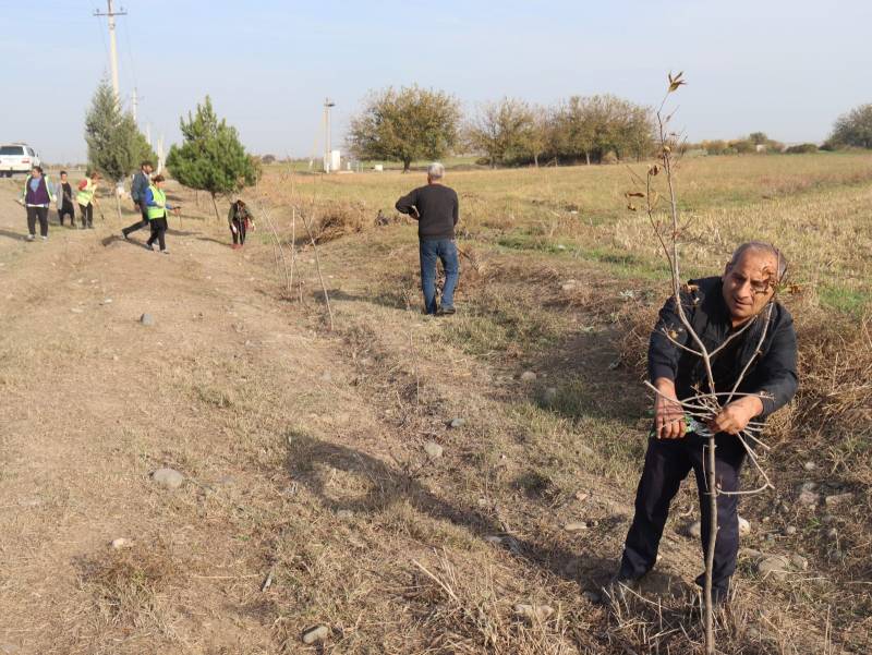 Samuxda genişmiqyaslı təmizlik, abadlıq işləri keçirildi - Fotolar