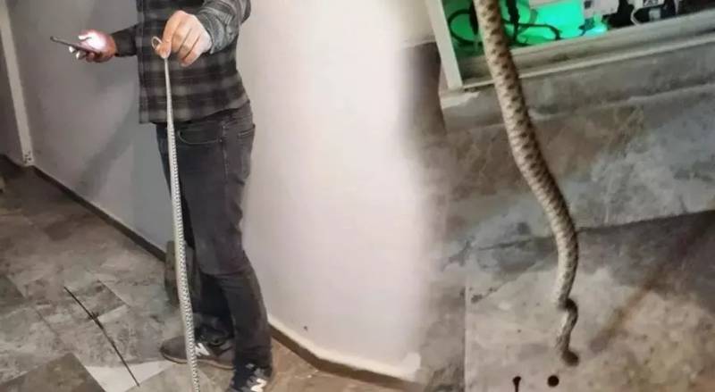 Evdə elektrik panelindən çıxan ilan hər kəsi qorxutdu