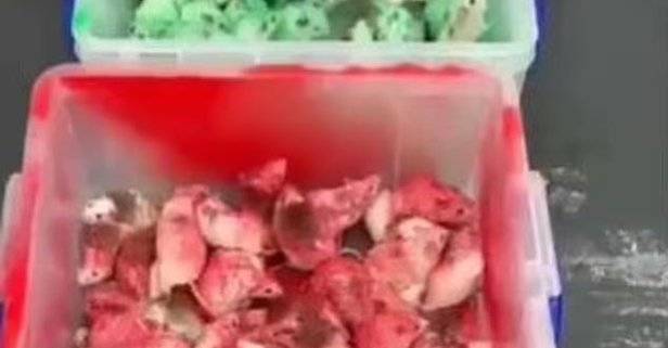 İsraili dəstəkləyən McDonald\'sa siçanlarla etiraz