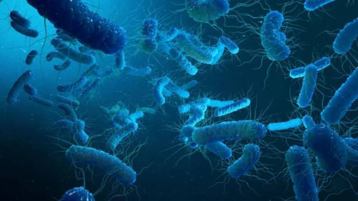 Polşada \"Legionella\" həyəcanı davam edir