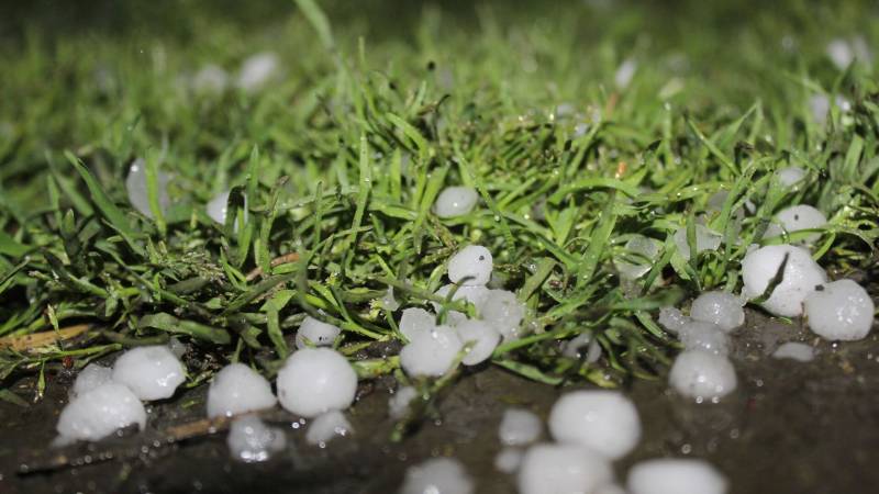 Qaxda dolu və leysan fəsadlar törətdi