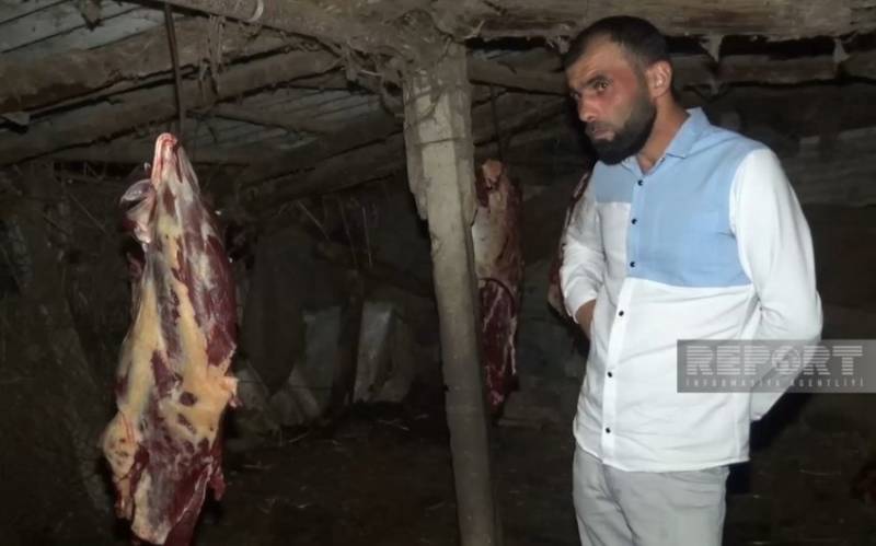3 baş atı kəsərək ətini Bakıda satmaq istəyən şəxs SAXLANILDI