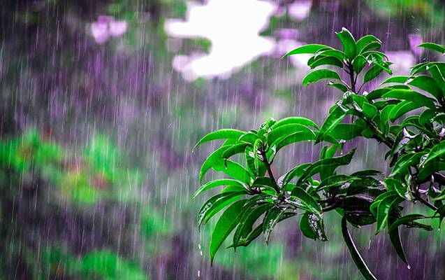 Bir neçə əraziyə leysan xarakterli yağış yağıb - FAKTİKİ HAVA