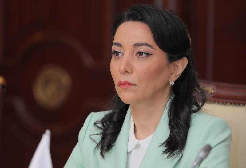 Ombudsman BMT-nin müşaviri ilə görüşdü