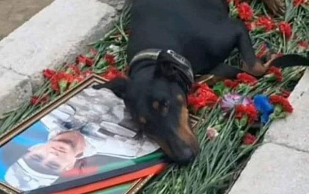 “Ramil yuxuda dedi ki, iti gətir, onunla sağollaşmalıyam” - VİDEO