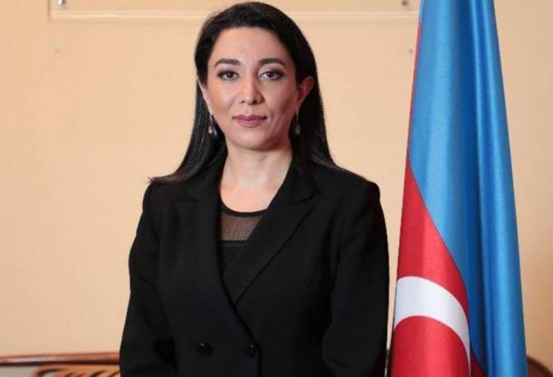 Dezinformasiyadan ən çox əziyyət çəkən ölkələrdən biriyik