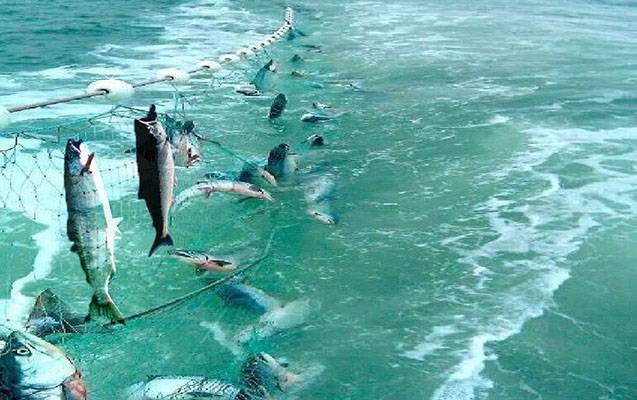 3 xəzəryanı dövlətin sərhədçiləri xeyli sayda brakonyer saxlayıb 