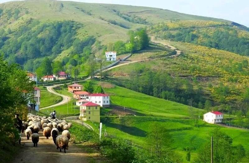 Azərbaycanın bəzi kəndlərində kirayə evlər kəskin BAHALAŞIB