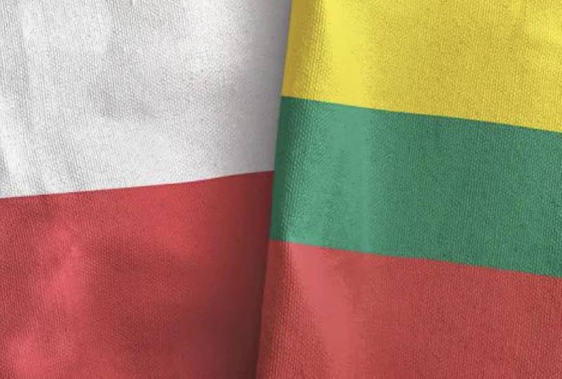 Litva və Polşa birgə hərbi təlimlərə BAŞLADI