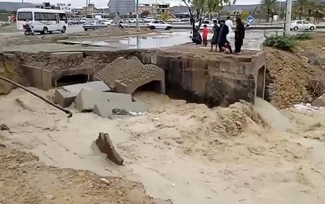 İranda timsah hücumu ilə bağlı xəbərdarlıq edildi