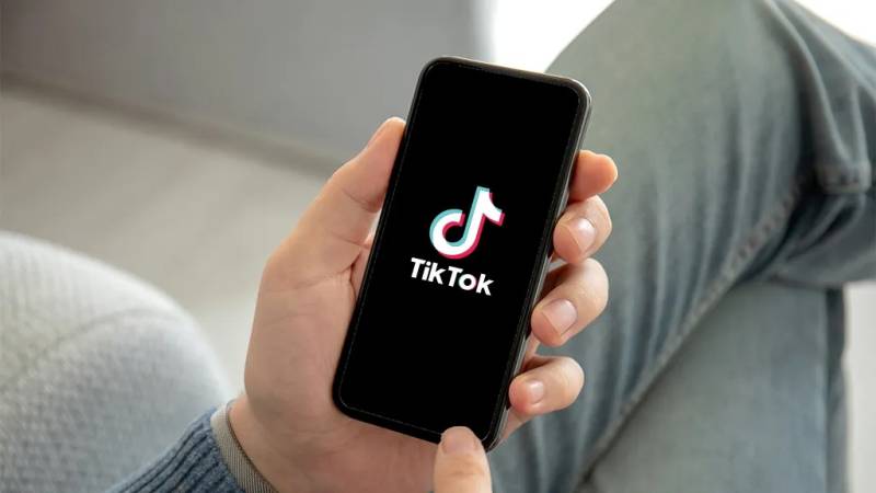 \"TikTok\"da kredit adı ilə 350 min manat ələ keçirdi - VİDEO/FOTO
