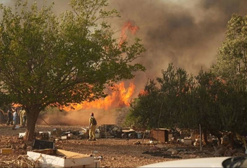 Türkiyədə meşə yanğınları ilə mübarizə davam edir