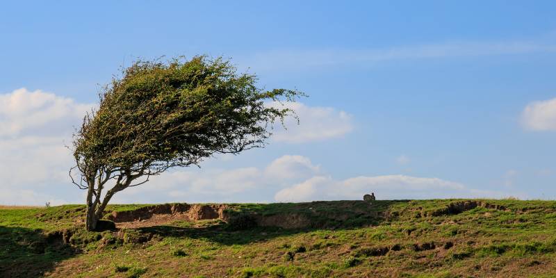 Hava ilə bağlı əhaliyə MÜRACİƏT