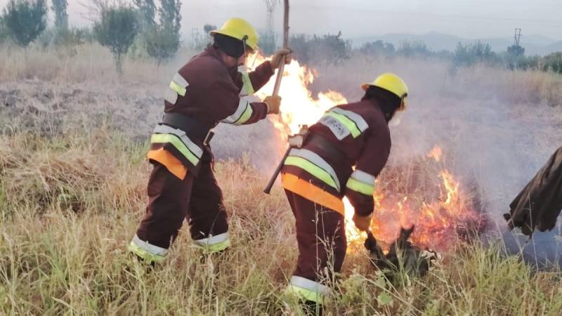 Naxçıvanda baş verən yanğınlar söndürüldü
