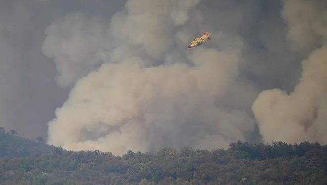 700 hektardan çox ərazi yanaraq külə döndü 
