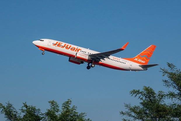 Cənubi Koreyanın təyyarəsi qəzaya uğradı - VİDEO