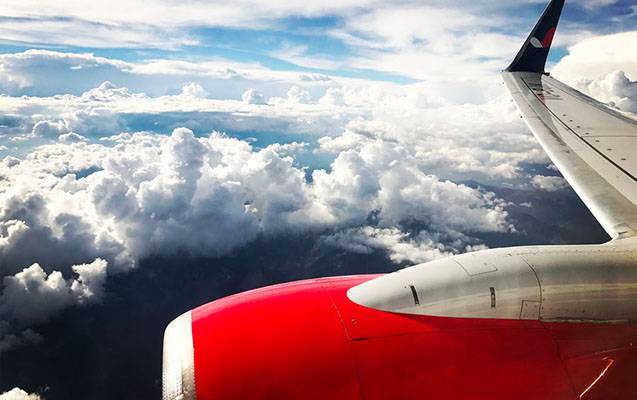 Çürük balıqla təyyarəyə mindi, təcili eniş etdilər