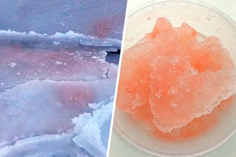 Rusiyada qırmızı buz müşahidə edildi