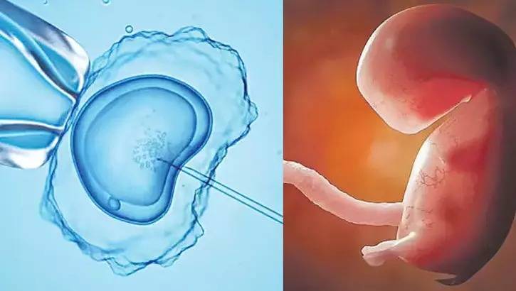 Dondurulmuş embrionlar \"uşaq\" hesab olunacaq