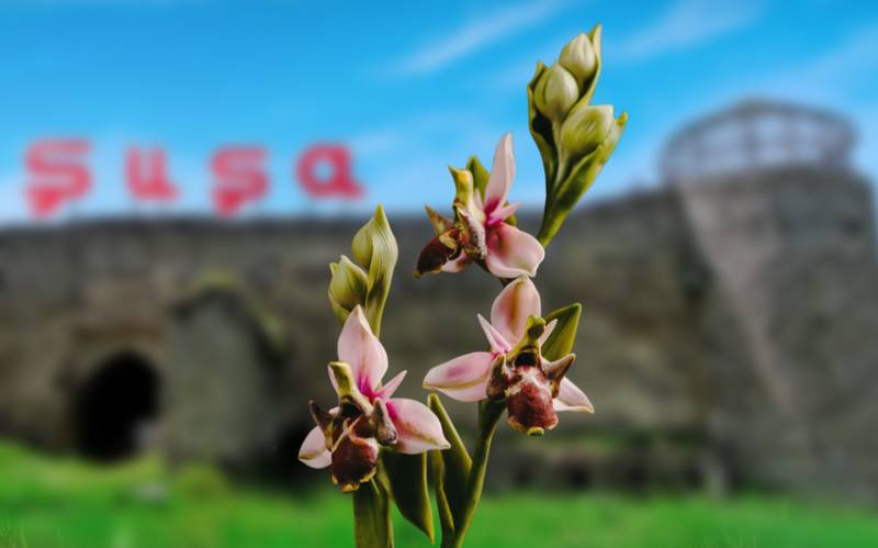 5 şəhərin sakinlərinə XOŞ XƏBƏR