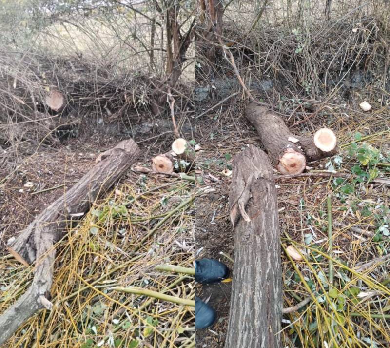 Təbiətə 61 min manatdan çox ziyan vuruldu