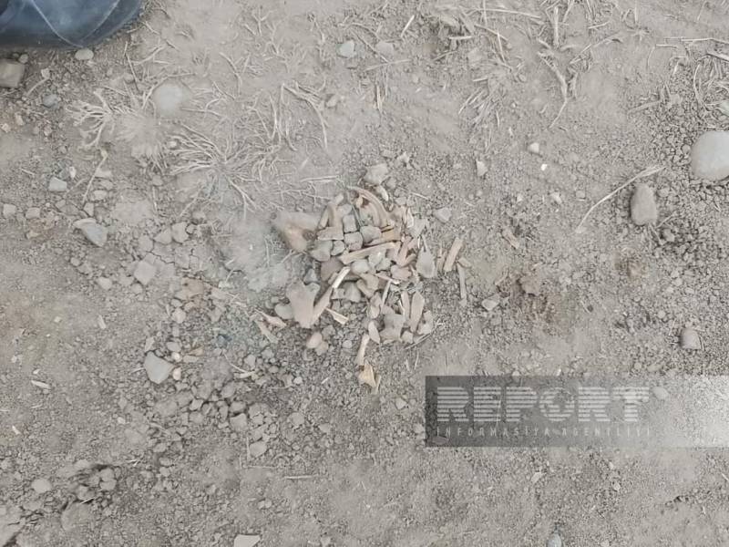 Cəlilabadda yağış suları tarixi hesab edilən məzarı üzə çıxarıb - FOTO