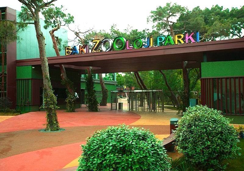 Bakı Zooloji Parkında bilet qiyməti qalxdı 