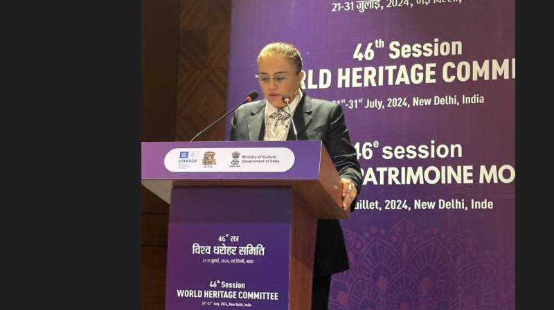 UNESCO Ümumdünya İrs Komitəsinin 46-cı sessiyası çərçivəsində bir sıra görüşlər keçirilib 