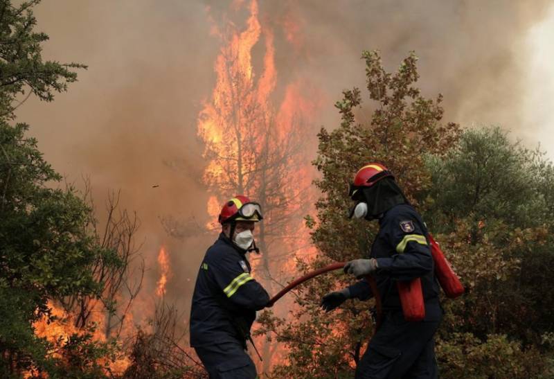 Bu ölkədə bir gündə 54 meşə yandı