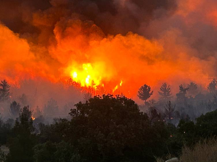 Türkiyədə meşə yanır, insanlar təxliyə olunur - VİDEO/FOTO