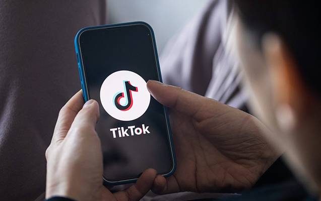 Bu ölkədə də TikTok qadağan edildi