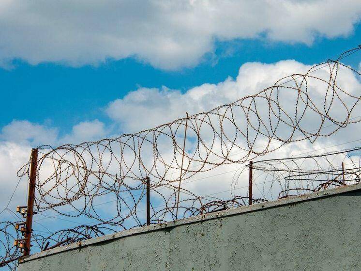 Peçenye və çaya görə həbs: Film kimi olay