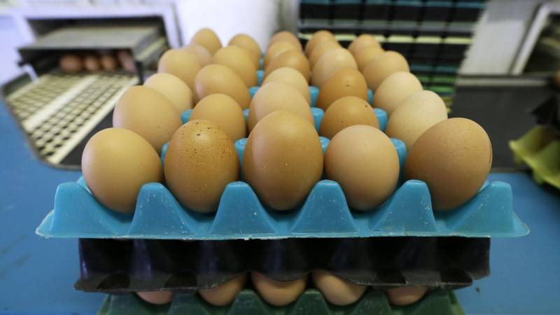 Azərbaycan Rusiyaya milyonlarla yumurta göndərdi 