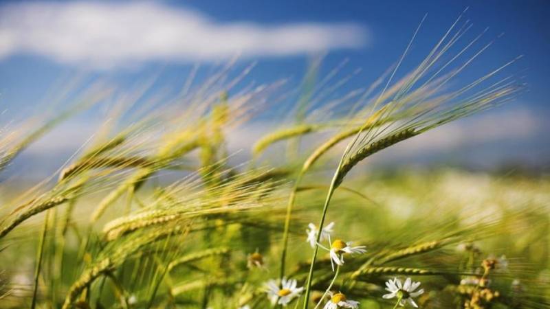 Yel çərşənbəsində ən yüksək temperatur 5 il öncə qeydə alındı