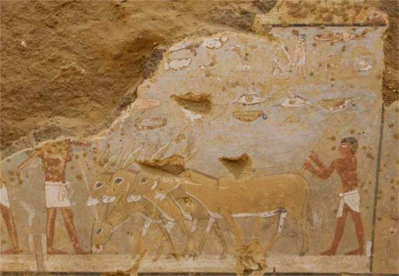 4800 il əvvələ aid sərdabə tapıldı