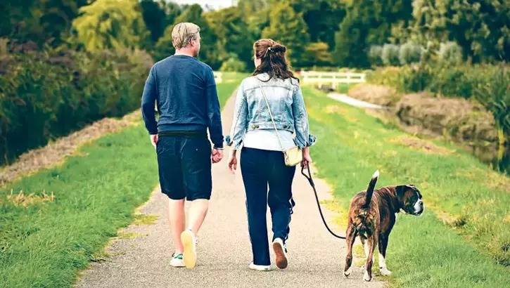 Sağlam ürəyin sirri: 6 saat otur, 5 saat ayaq üstə dur