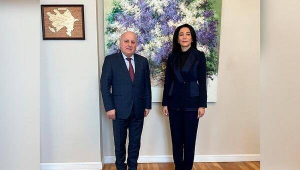 Ombudsman BMT-nin komitə üzvü ilə görüşdü - FOTO