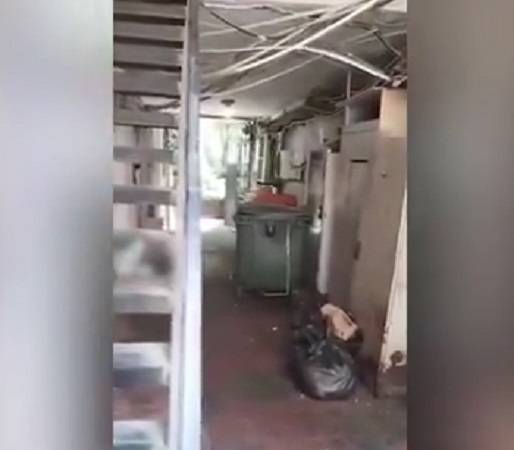 Bakının ən bahalı restoranlarından birinin mətbəxində antisanitar vəziyyət var? - AÇIQLAMA