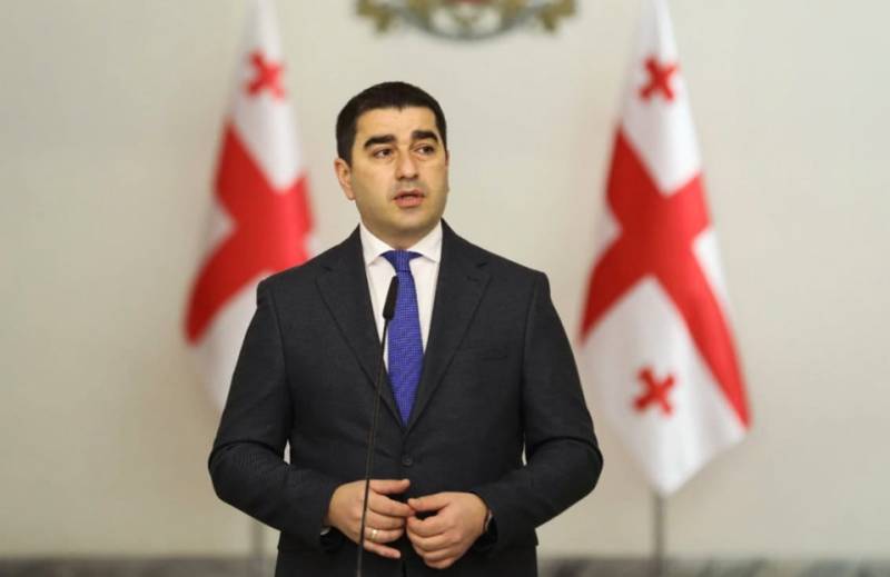 \"Baydenin administrasiyası gürcü xalqından qonaqpərvərliyi öyrənməlidir\" - Şalva Papuaşvili