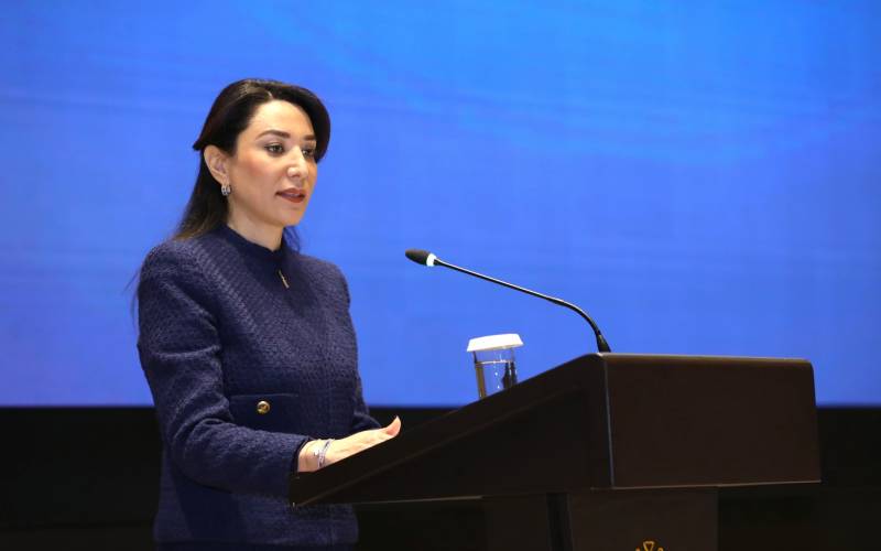 \"Ermənistanın mina terroru səbəbiylə günahsız insanlar təhdid altındadır\" - Ombudsman