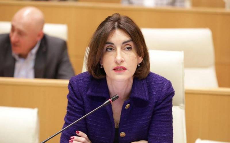 \"Həqiqət uğrunda mübarizə aparmışıq\" - Gürcüstanın XİN başçısı