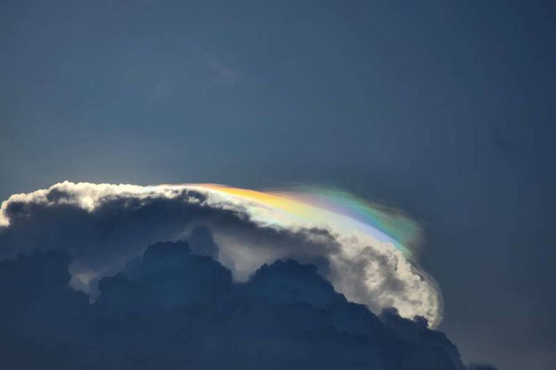 Alimlər anomal istilərin səbəbini tapdı 