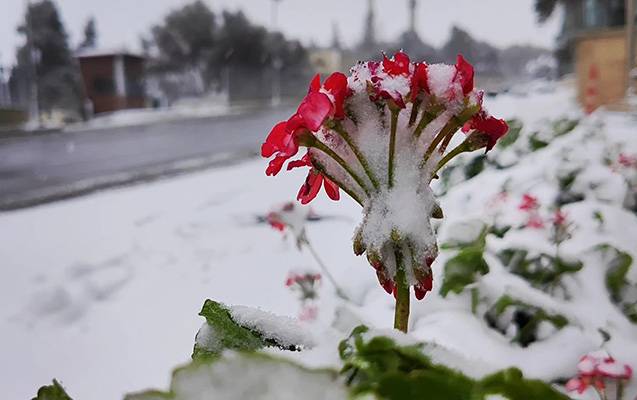 Bakıda havanın temperaturu yüksəldi 