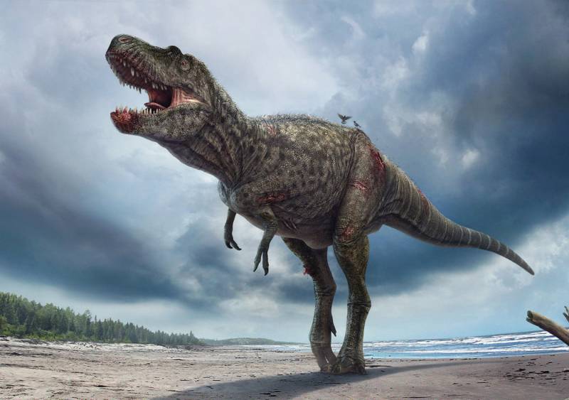 Yeni dinozavr növü kəşf edildi