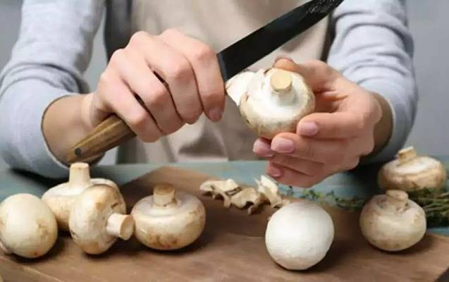 Göbələyin bu faydalarını bilirdiniz? 