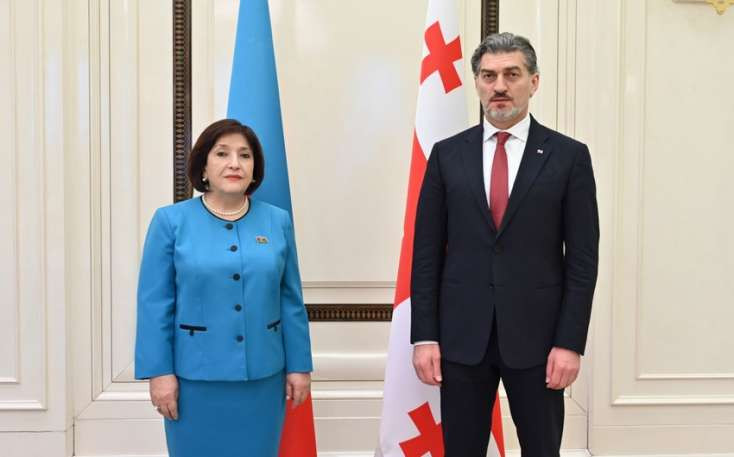 Gürcüstan Prezidenti Milli Məclisdə oldu